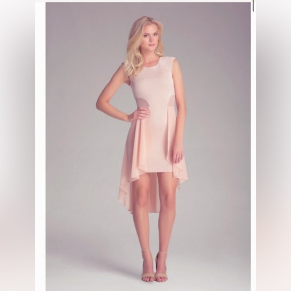 BEBE Elegant Pink / Rose Dust Asymmetrical Dress